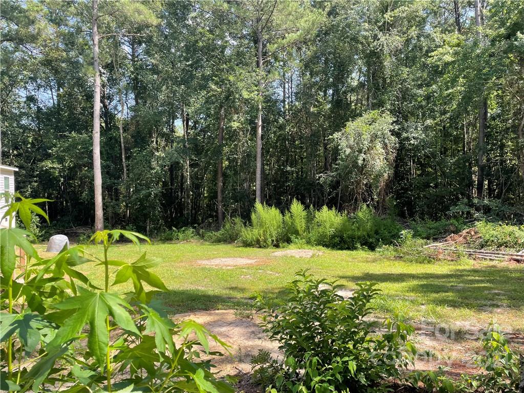 385 Single Tree Lane Cheraw, SC 29520 - Photo 14 of 15 Gallery Image 14