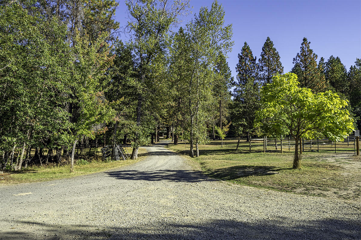 255 Davidson Road Williams, OR 97544 - Photo 72 of 82 Driveway