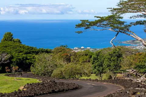 a view of a yard with an ocean