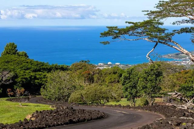 a view of a yard with an ocean
