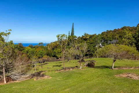 a backyard of a house with lots of green space