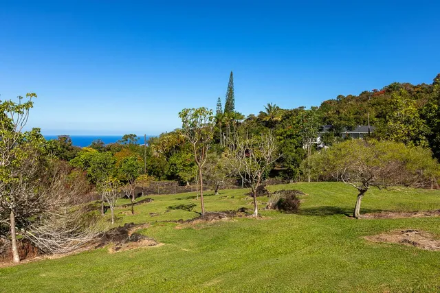 a backyard of a house with lots of green space