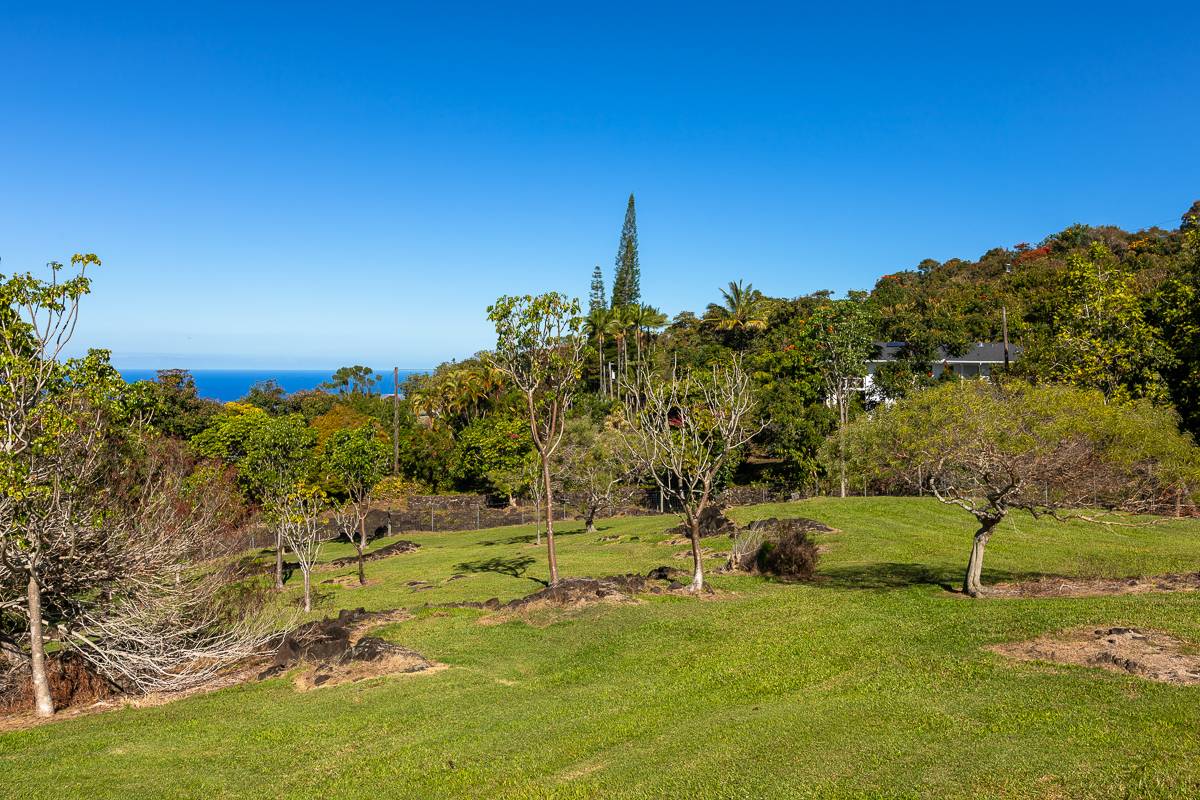 75-5641 Hienaloli Road Holualoa, HI 96725 - Photo 14 of 16 a backyard of a house with lots of green space