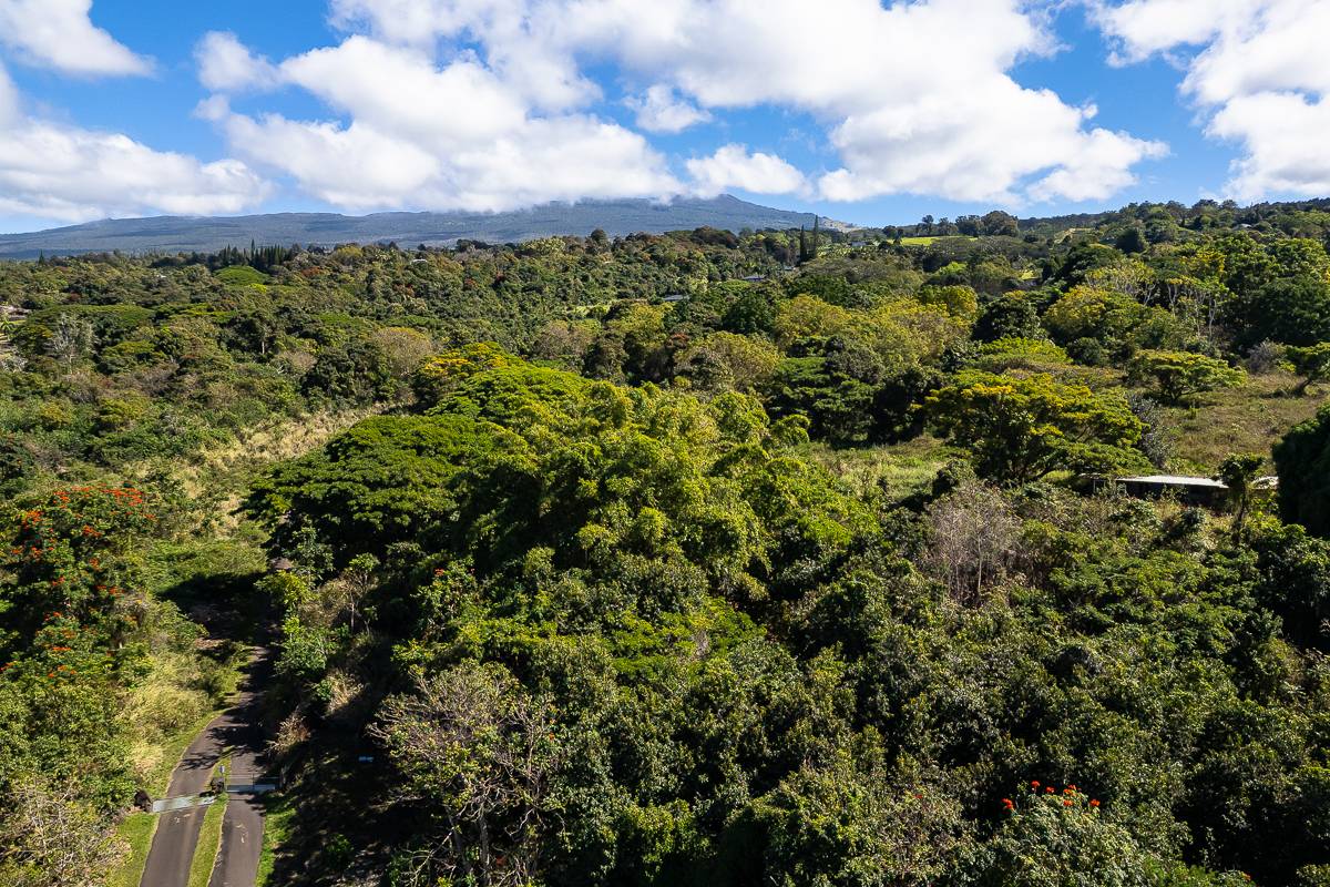 75-5641 Hienaloli Road Holualoa, HI 96725 - Photo 15 of 16 a view of a city