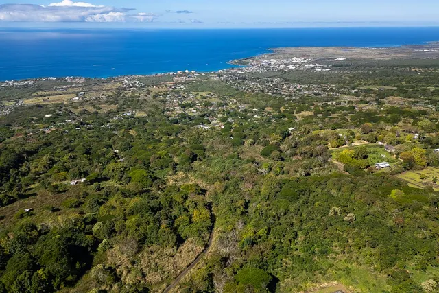 a view of city and ocean