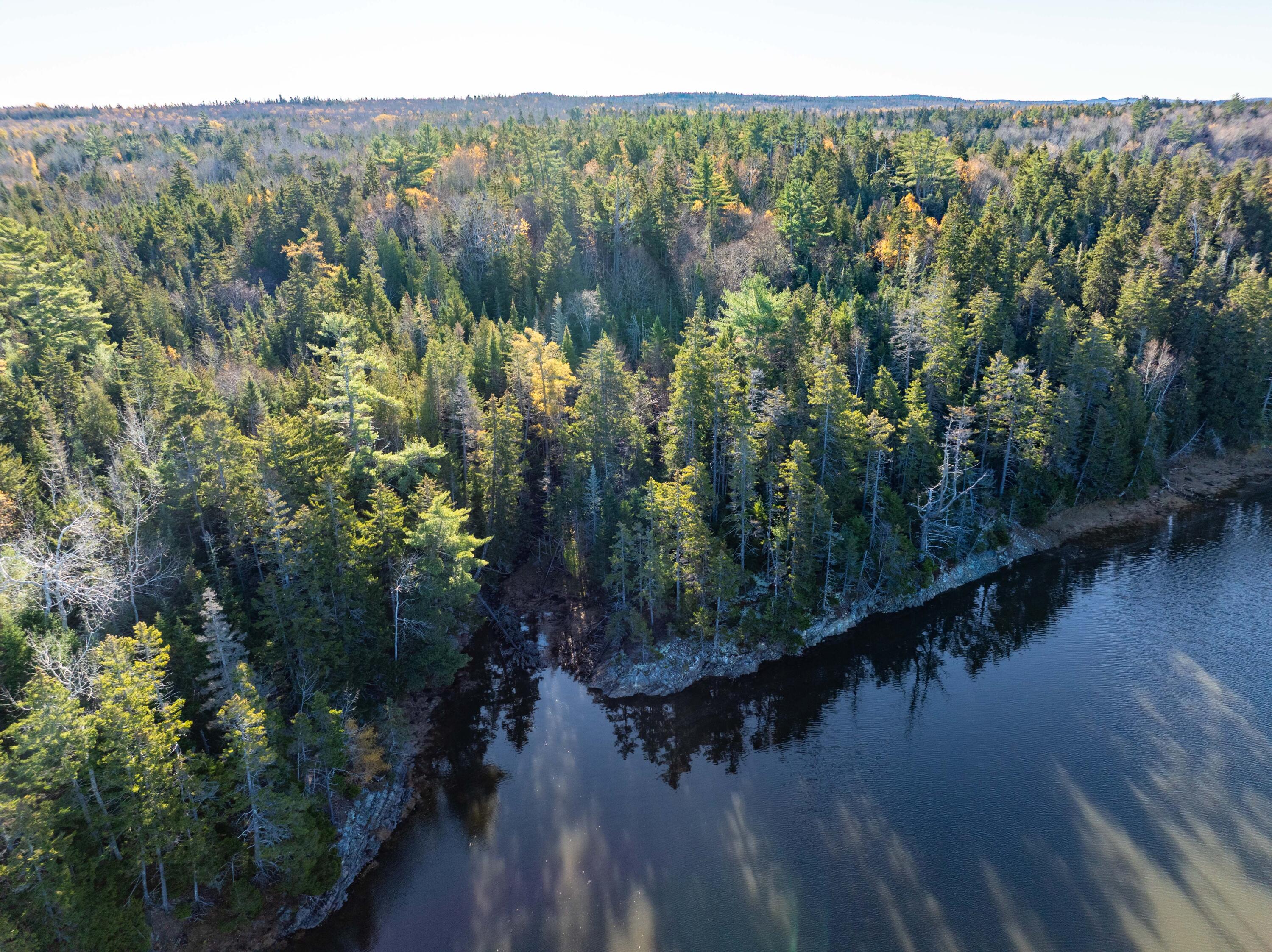 1-4 Wa035 Lubec, ME 04652 - Photo 3 of 30 Lot M01-40.6 Trescott (8 of 26)