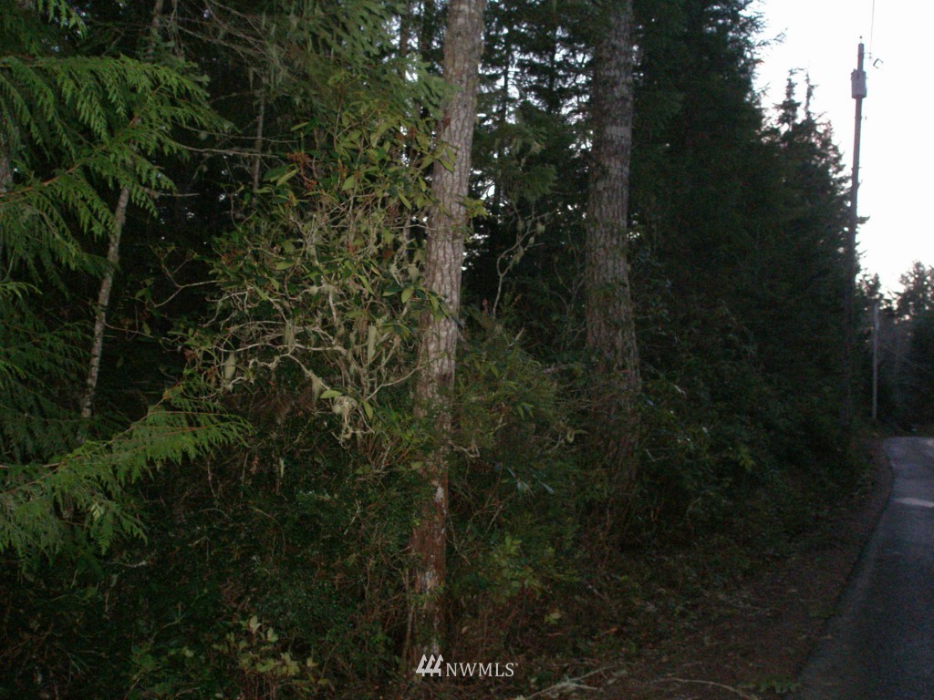 -5.6 Ac Northwest Stavis Bay Road Seabeck, WA 98380 - Photo 1 of 2 Gallery Image 1