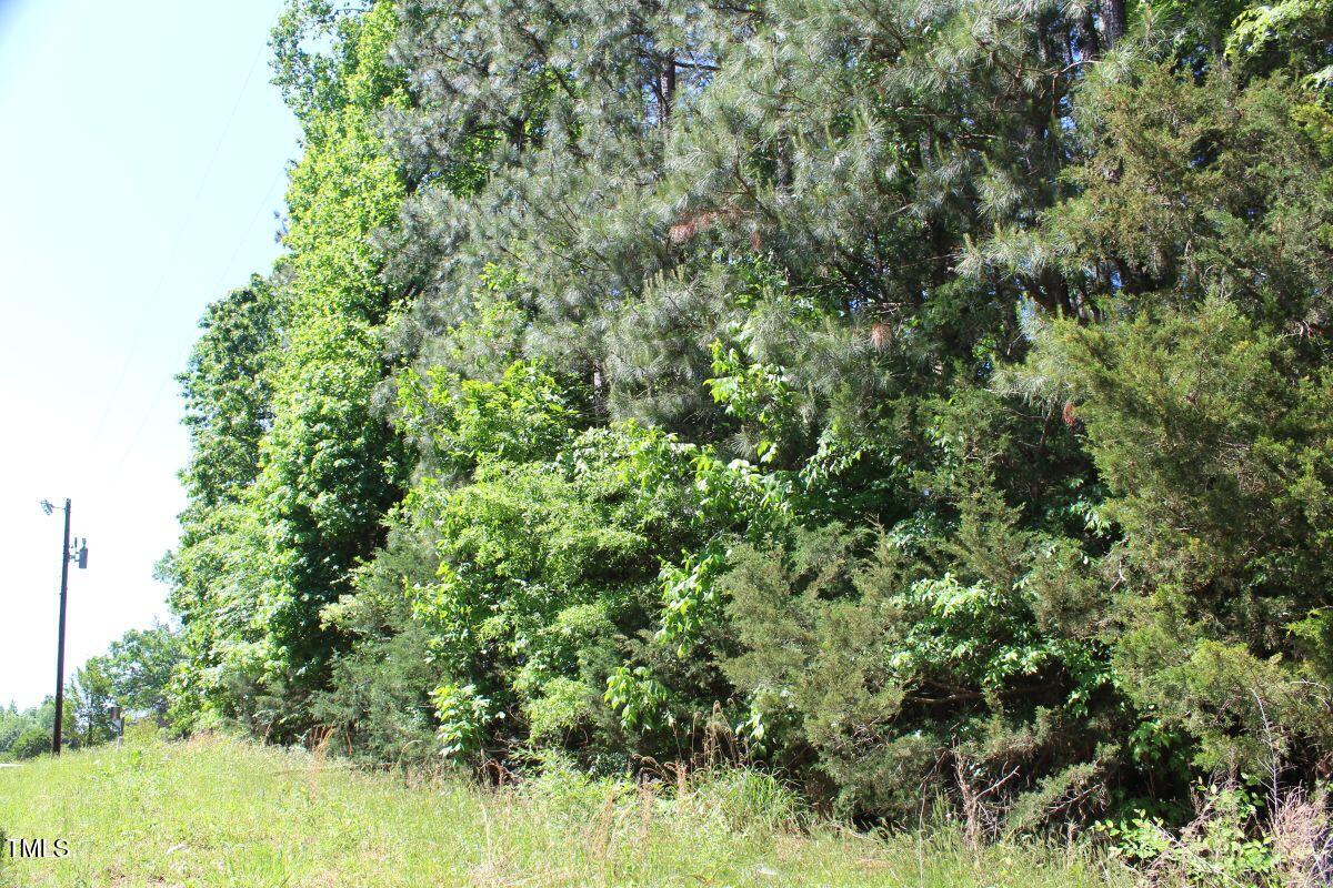 0 Sims Bridge Road Kittrell, NC 27544 - Photo 18 of 28 18