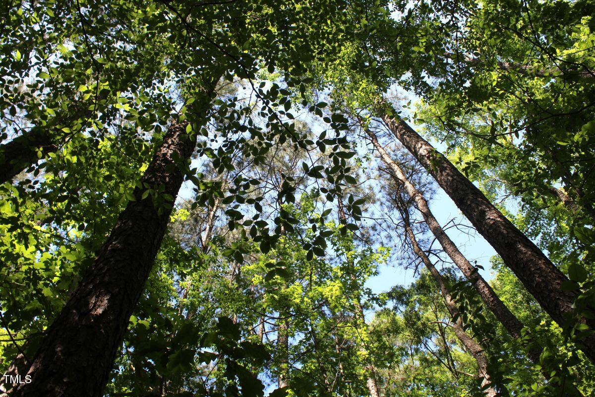 0 Sims Bridge Road Kittrell, NC 27544 - Photo 22 of 28 22