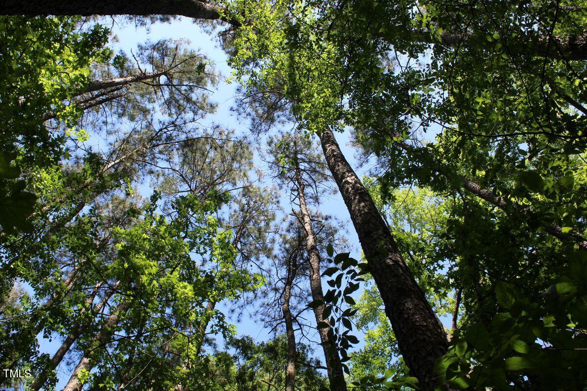 0 Sims Bridge Road Kittrell, NC 27544 - Photo 23 of 28 23