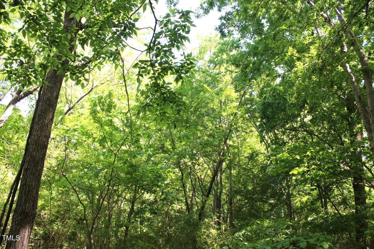 0 Sims Bridge Road Kittrell, NC 27544 - Photo 24 of 28 24