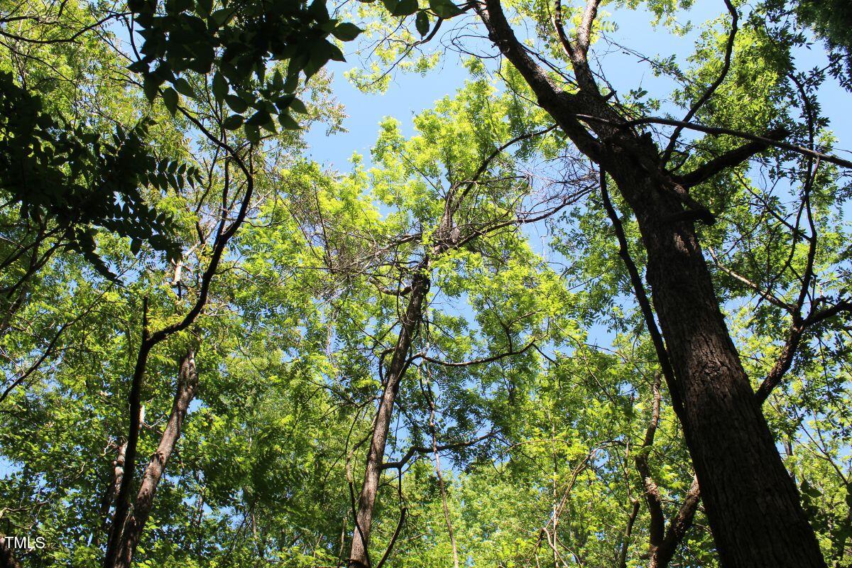 0 Sims Bridge Road Kittrell, NC 27544 - Photo 25 of 28 25