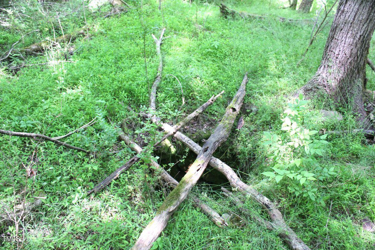 0 Sims Bridge Road Kittrell, NC 27544 - Photo 27 of 28 28