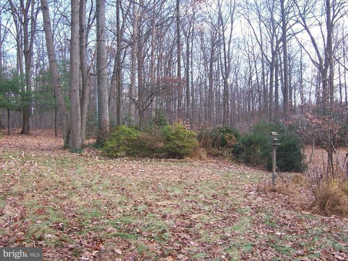 2121 Blue Mt Road Monkton, MD 21111 - Photo 5 of 8 a view of backyard with green space