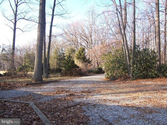 2121 Blue Mt Road Monkton, MD 21111 - Photo 7 of 8 a view of a yard with trees