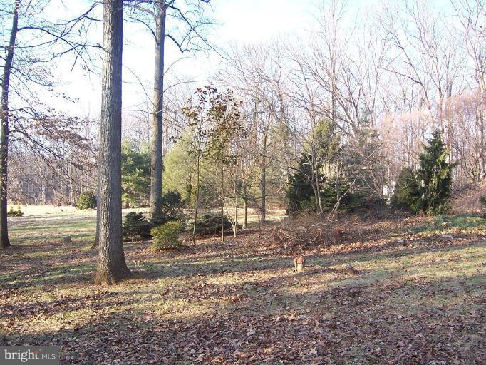 2121 Blue Mt Road Monkton, MD 21111 - Photo 8 of 8 a backyard of a house with lots of green space