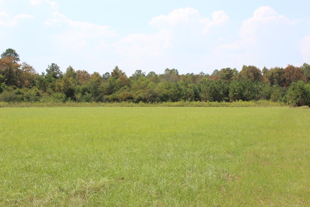 0 Willie Varnum Road Dothan, AL 36301 - Photo 1 of 1