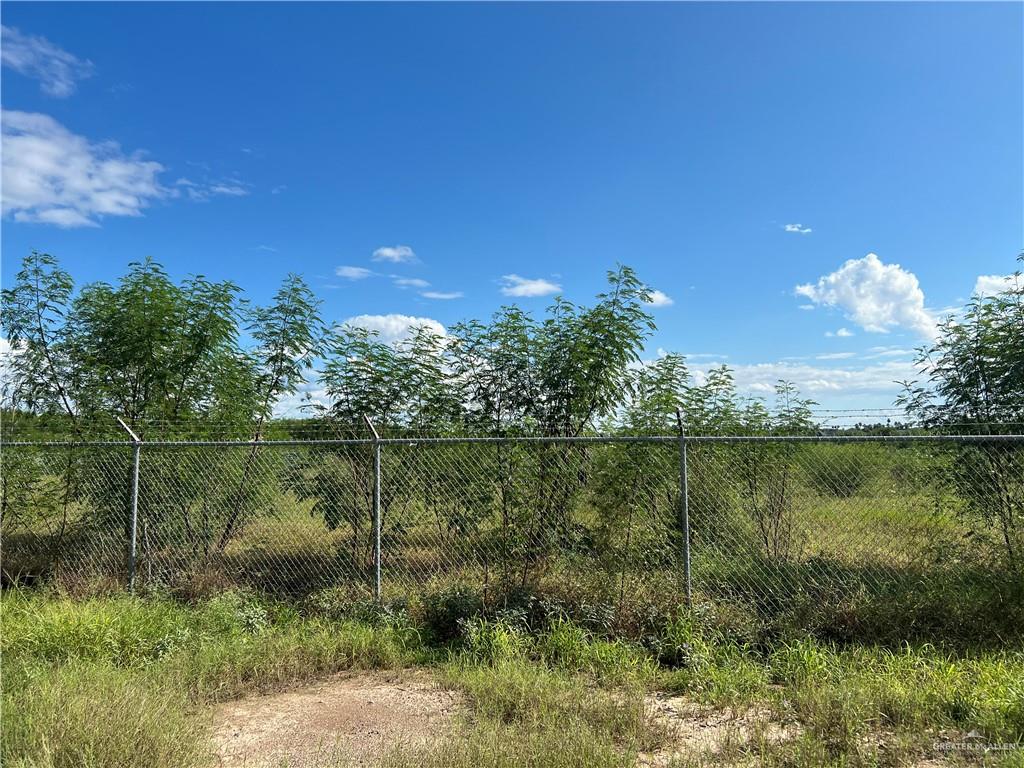 Tbd East Moore Road Pharr, TX 78577 - Photo 2 of 4 a view of a lake in a forest