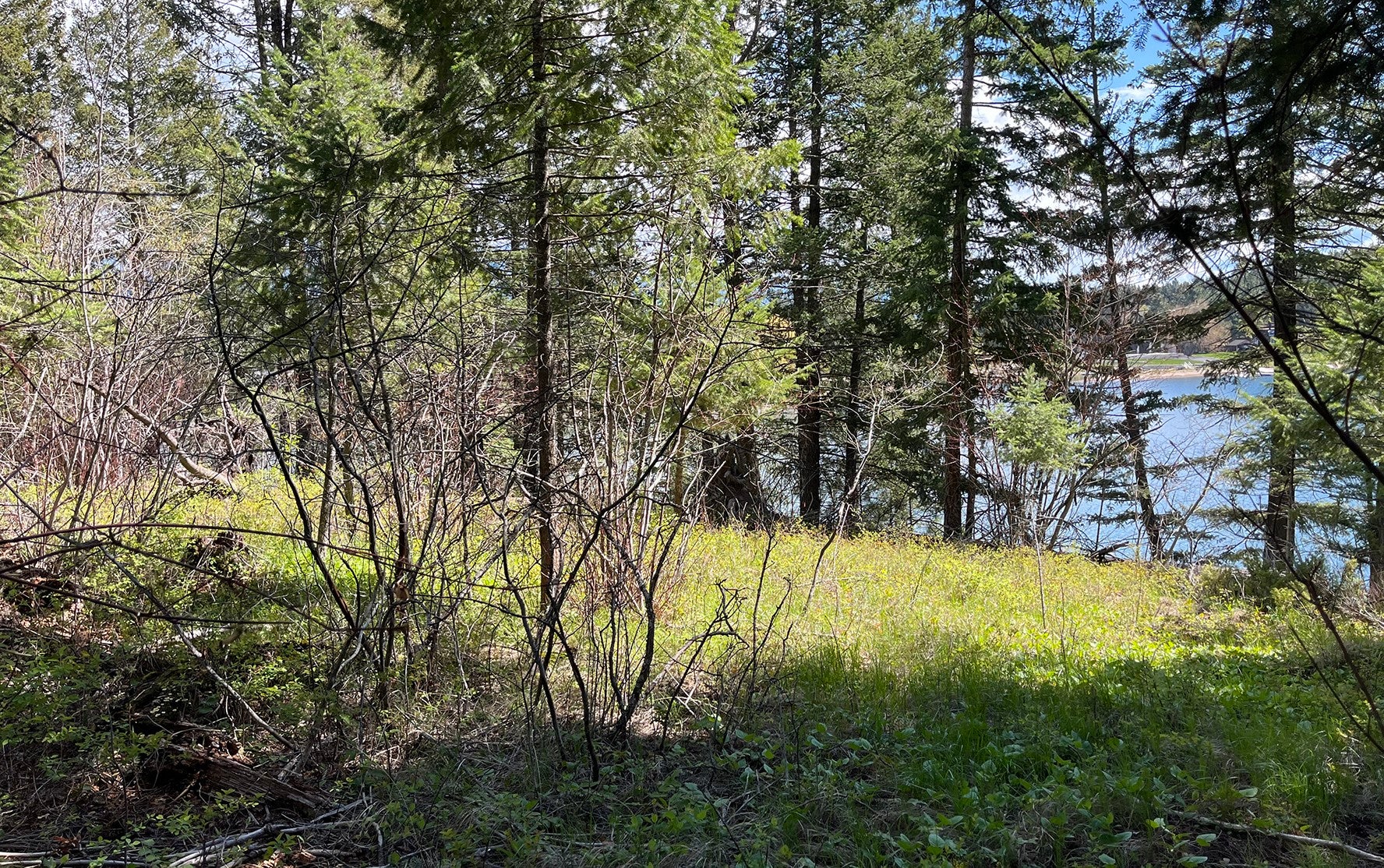 716 Echo Lake Road Bigfork, MT 59911 - Photo 11 of 14 Gallery Image 11