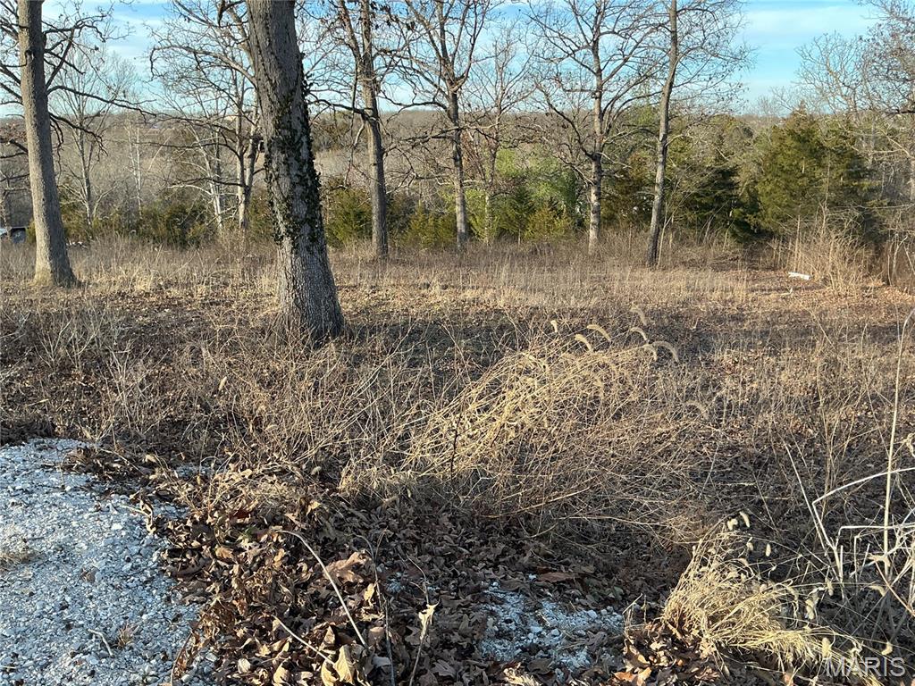 1638 Neff Road St. Clair, MO 63077 - Photo 18 of 23