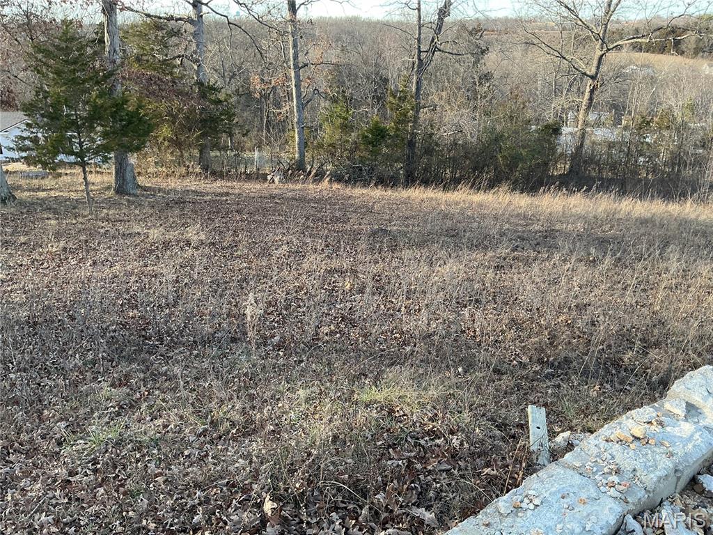 1638 Neff Road St. Clair, MO 63077 - Photo 4 of 23