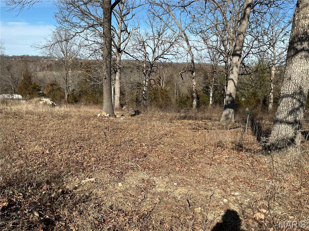 1638 Neff Road St. Clair, MO 63077 - Photo 5 of 23