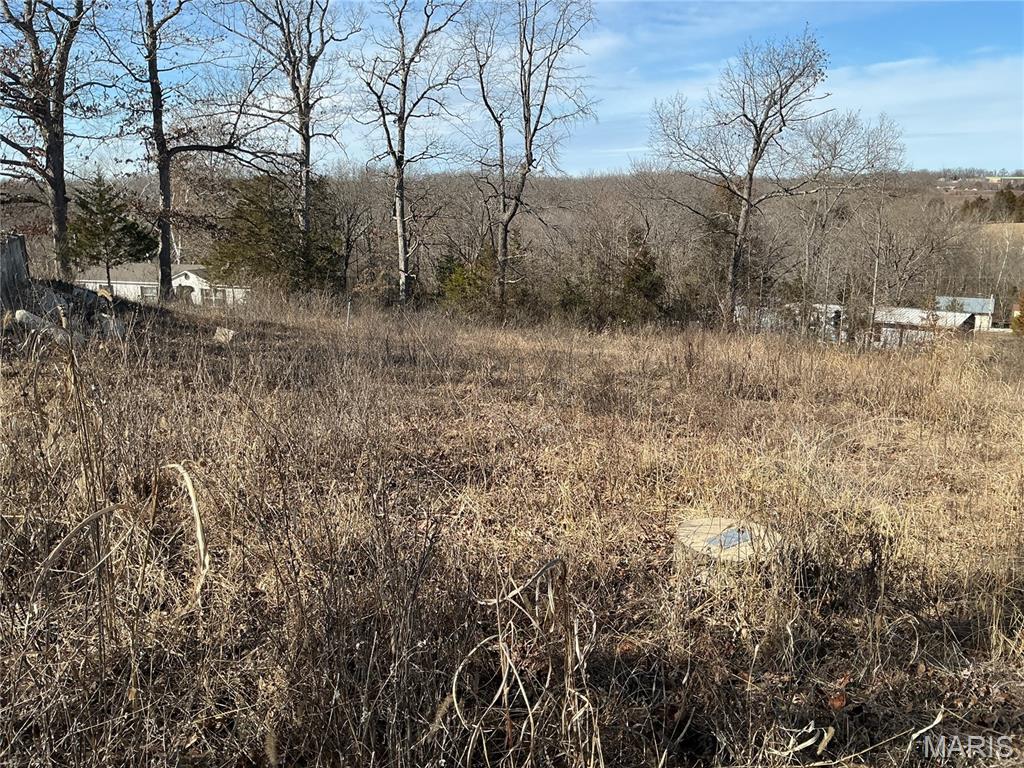 1638 Neff Road St. Clair, MO 63077 - Photo 6 of 23