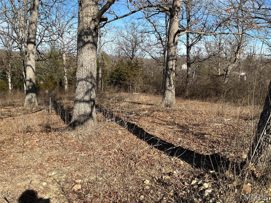 1638 Neff Road St. Clair, MO 63077 - Photo 9 of 23