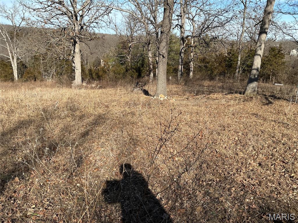 1638 Neff Road St. Clair, MO 63077 - Photo 10 of 23