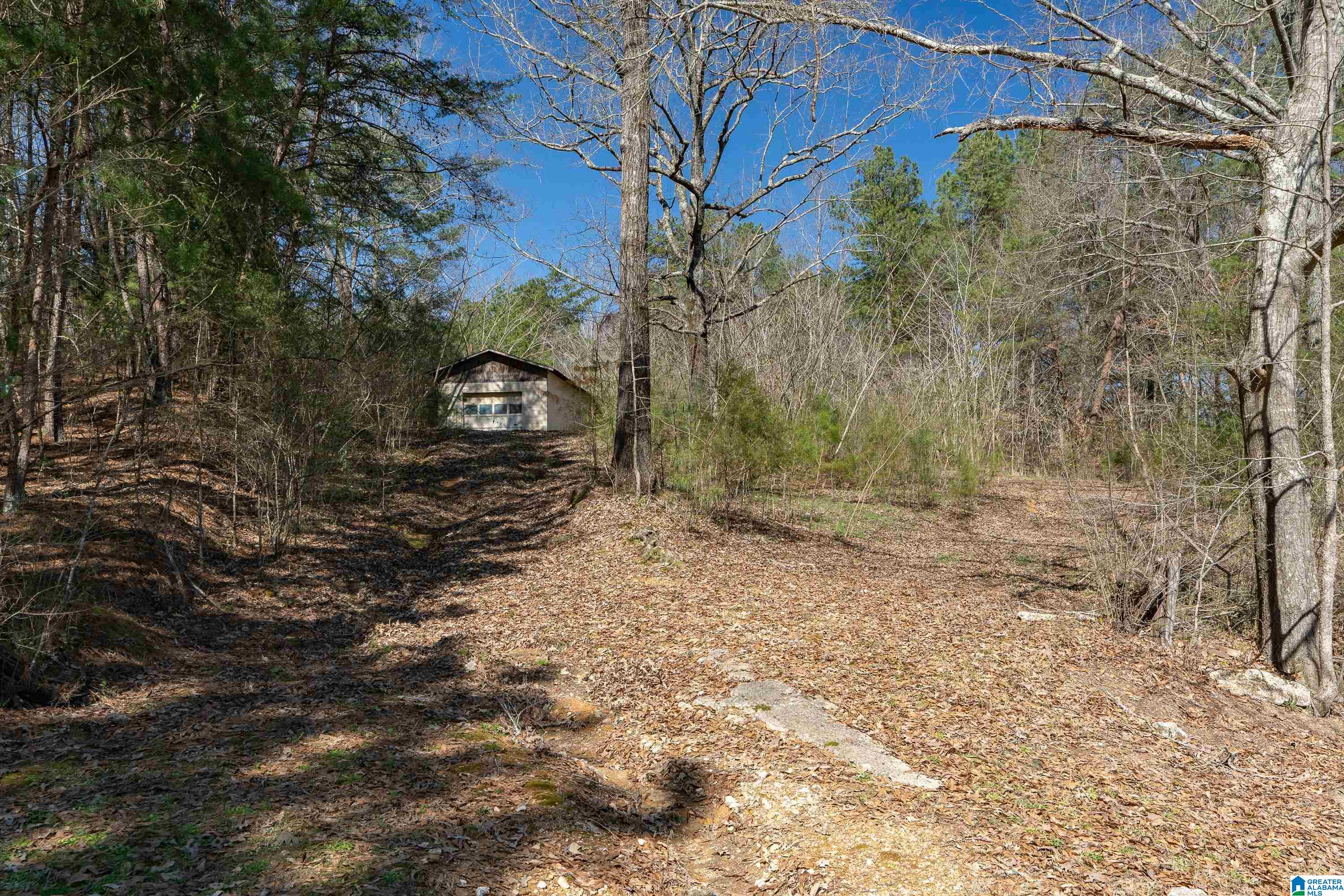 2469 Warrior Trafford Road Trafford, AL 35172 - Photo 32 of 33