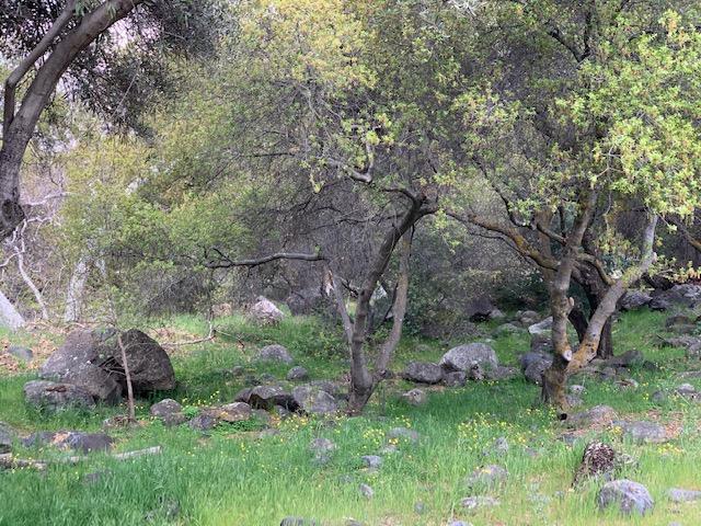 44291 North Fork Drive Three Rivers, CA 93271 - Photo 73 of 75 IMG_5103