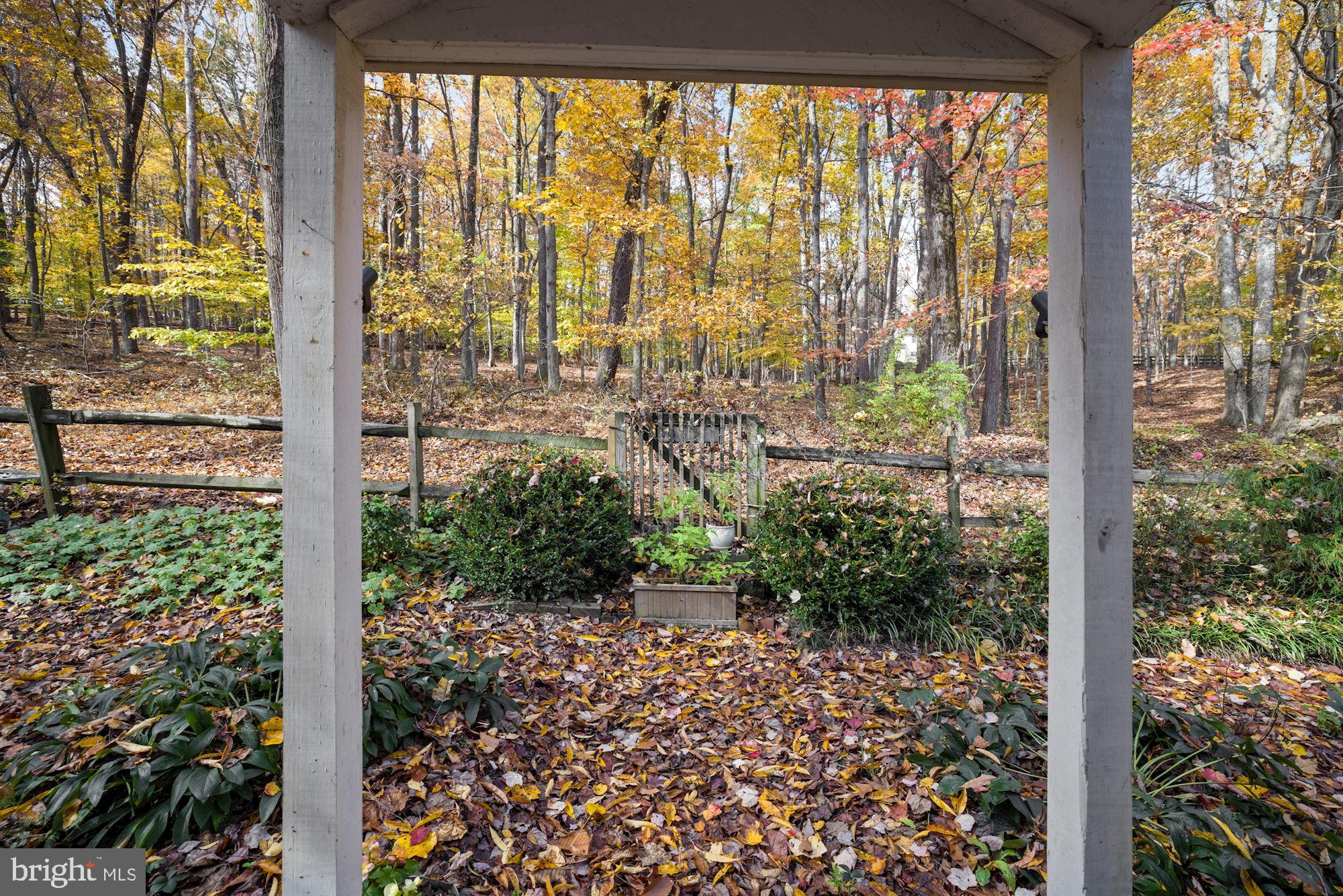 41788 Stumptown Road Leesburg, VA 20176 - Photo 29 of 31 a view of a garden from a window
