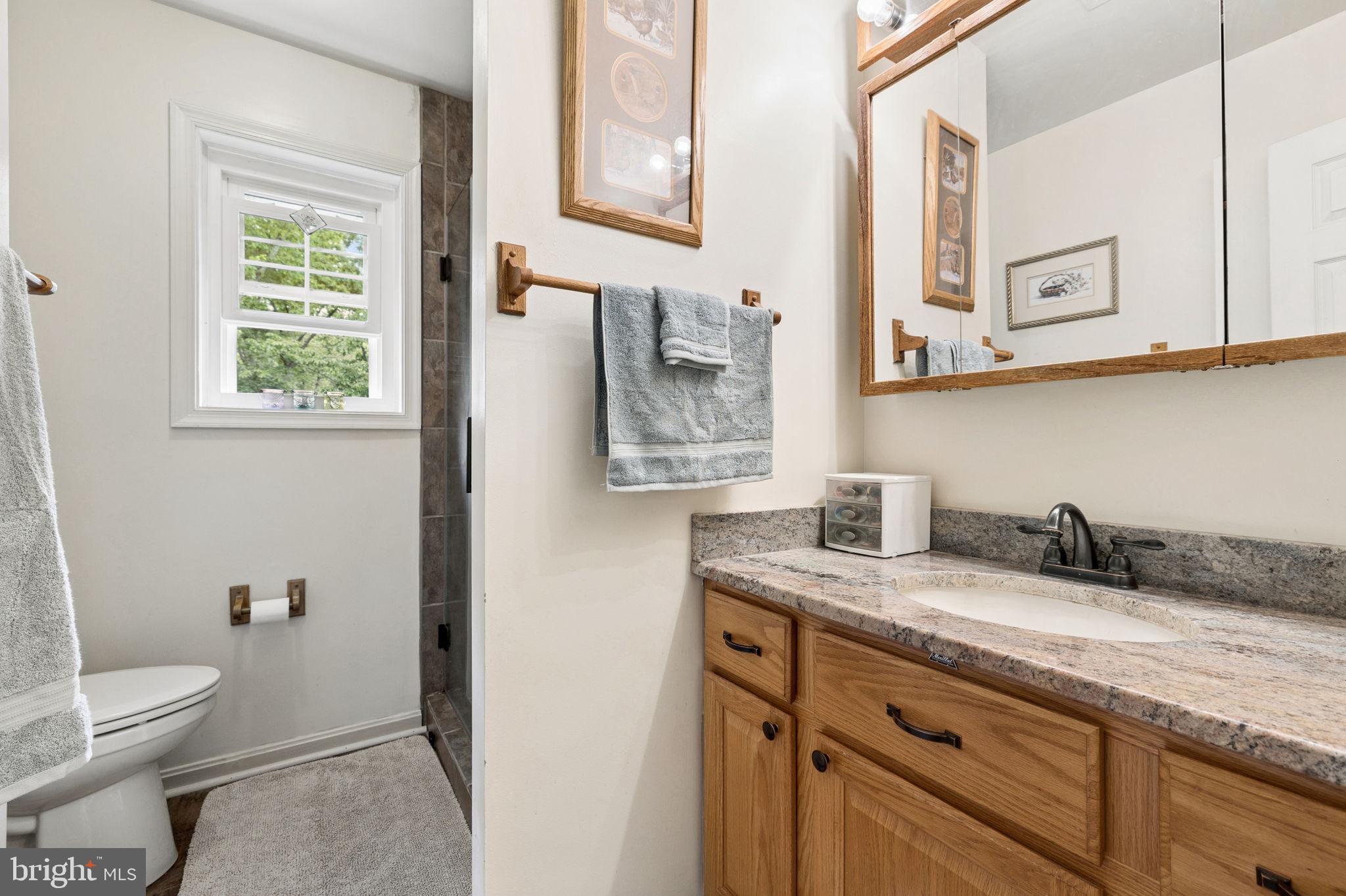 5099 Courtneys Corner Road Sumerduck, VA 22742 - Photo 22 of 73 Primary suite bath