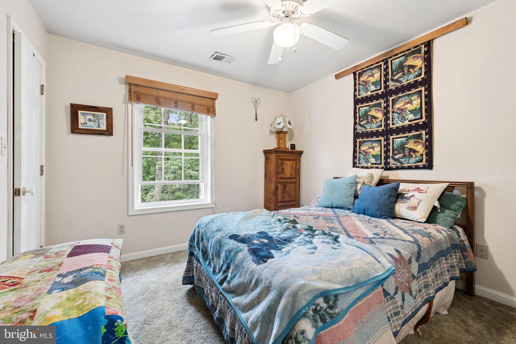 5099 Courtneys Corner Road Sumerduck, VA 22742 - Photo 23 of 73 Bedroom #2