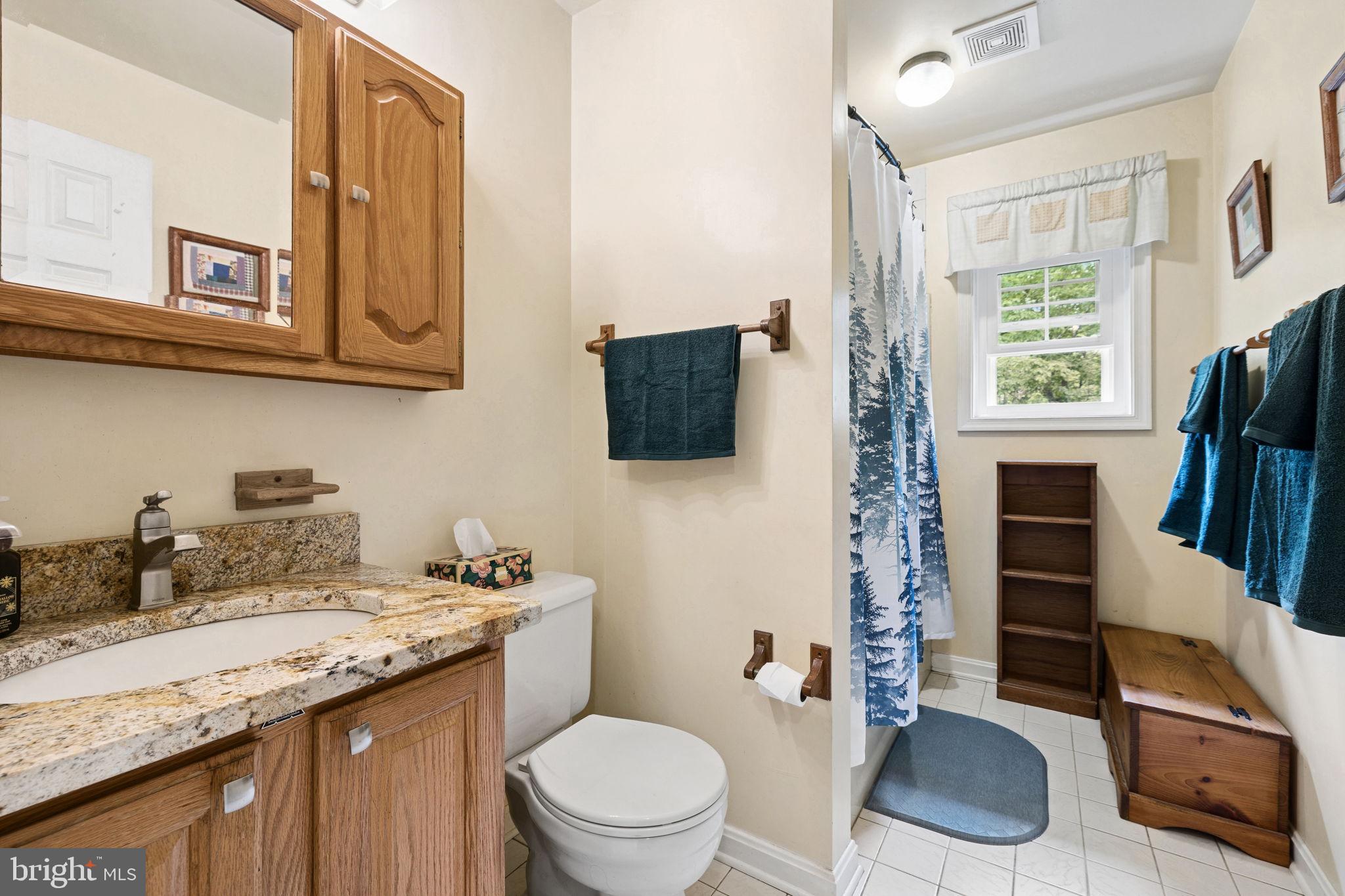 5099 Courtneys Corner Road Sumerduck, VA 22742 - Photo 29 of 73 Full bath (upstairs)