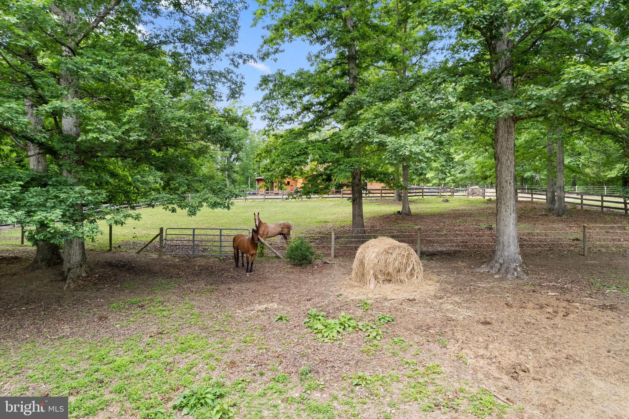 5099 Courtneys Corner Road Sumerduck, VA 22742 - Photo 50 of 73