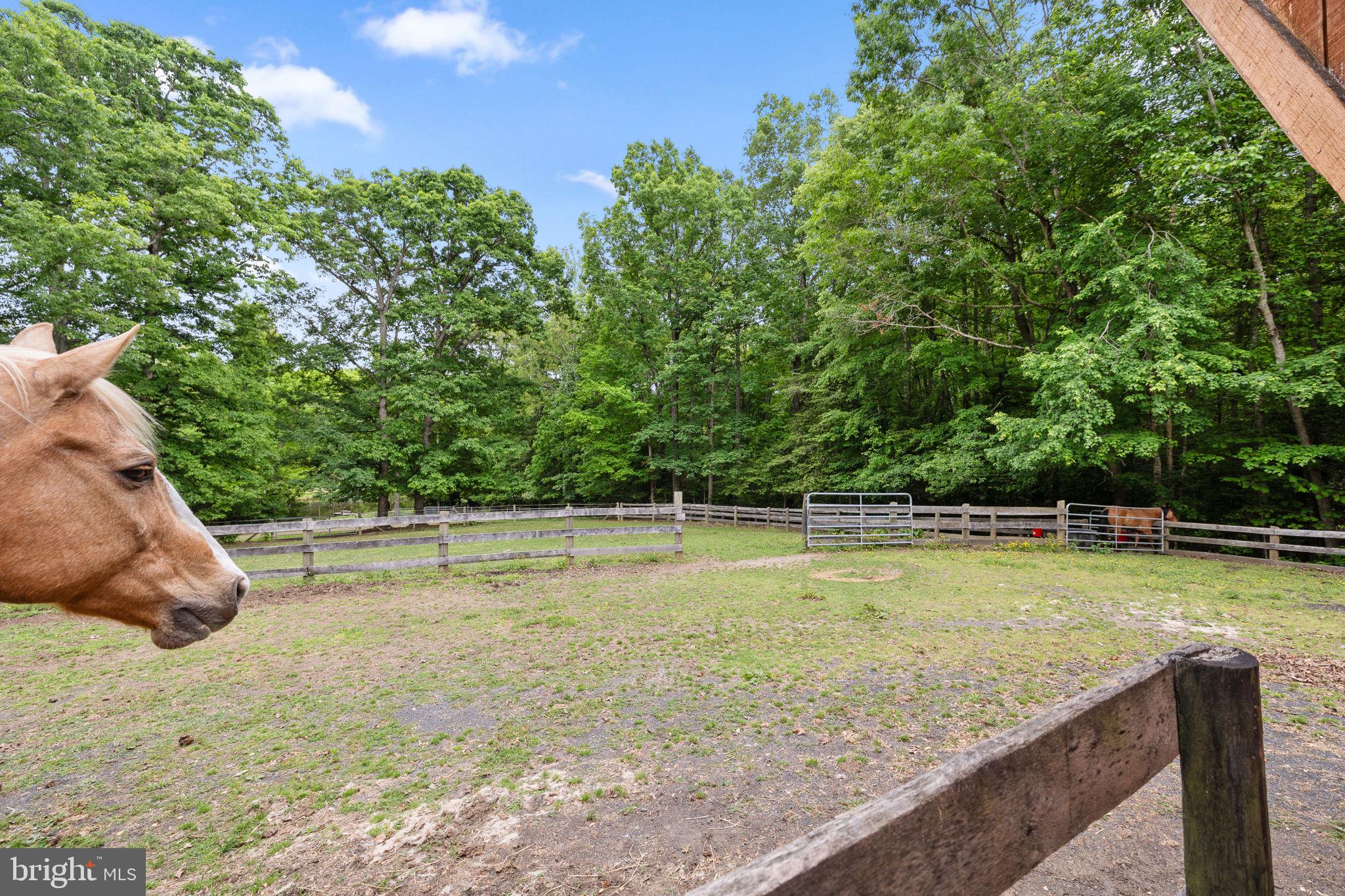 5099 Courtneys Corner Road Sumerduck, VA 22742 - Photo 52 of 73