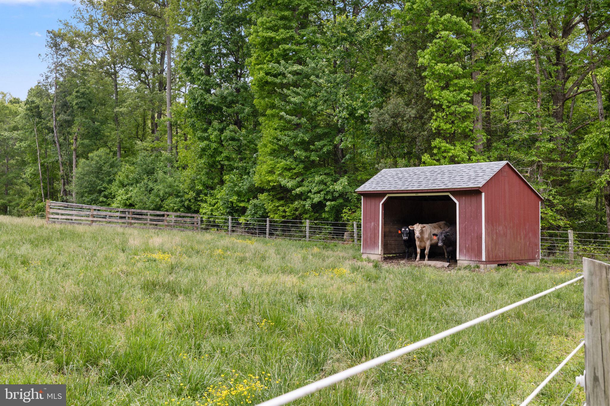 5099 Courtneys Corner Road Sumerduck, VA 22742 - Photo 58 of 73