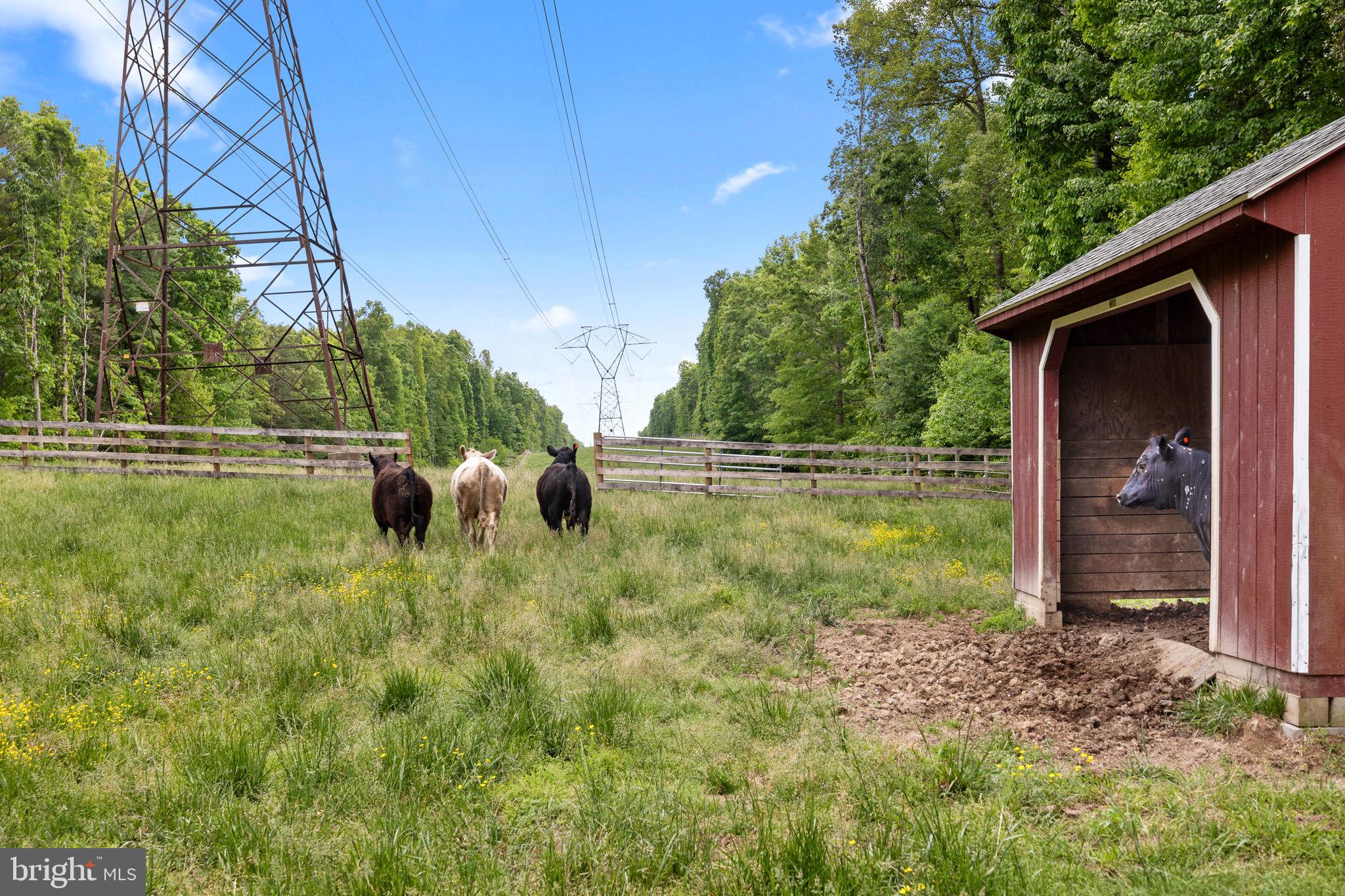 5099 Courtneys Corner Road Sumerduck, VA 22742 - Photo 59 of 73
