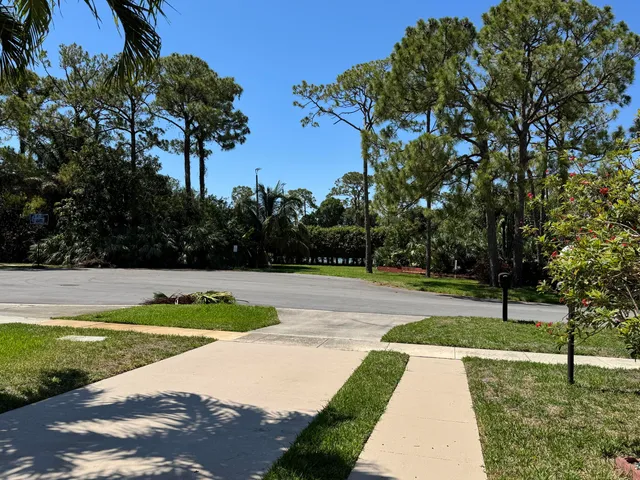 a view of a garden with swimming pool