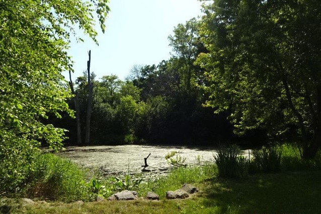 950 Gage Lane Lake Forest, IL 60045 - Photo 14 of 14