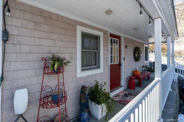 a potted plant sitting in front of a house