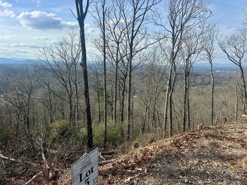 Lot 5 Blue Horizon Drive Blue Ridge, GA 30513 - Photo 16 of 18 Gallery Image 16