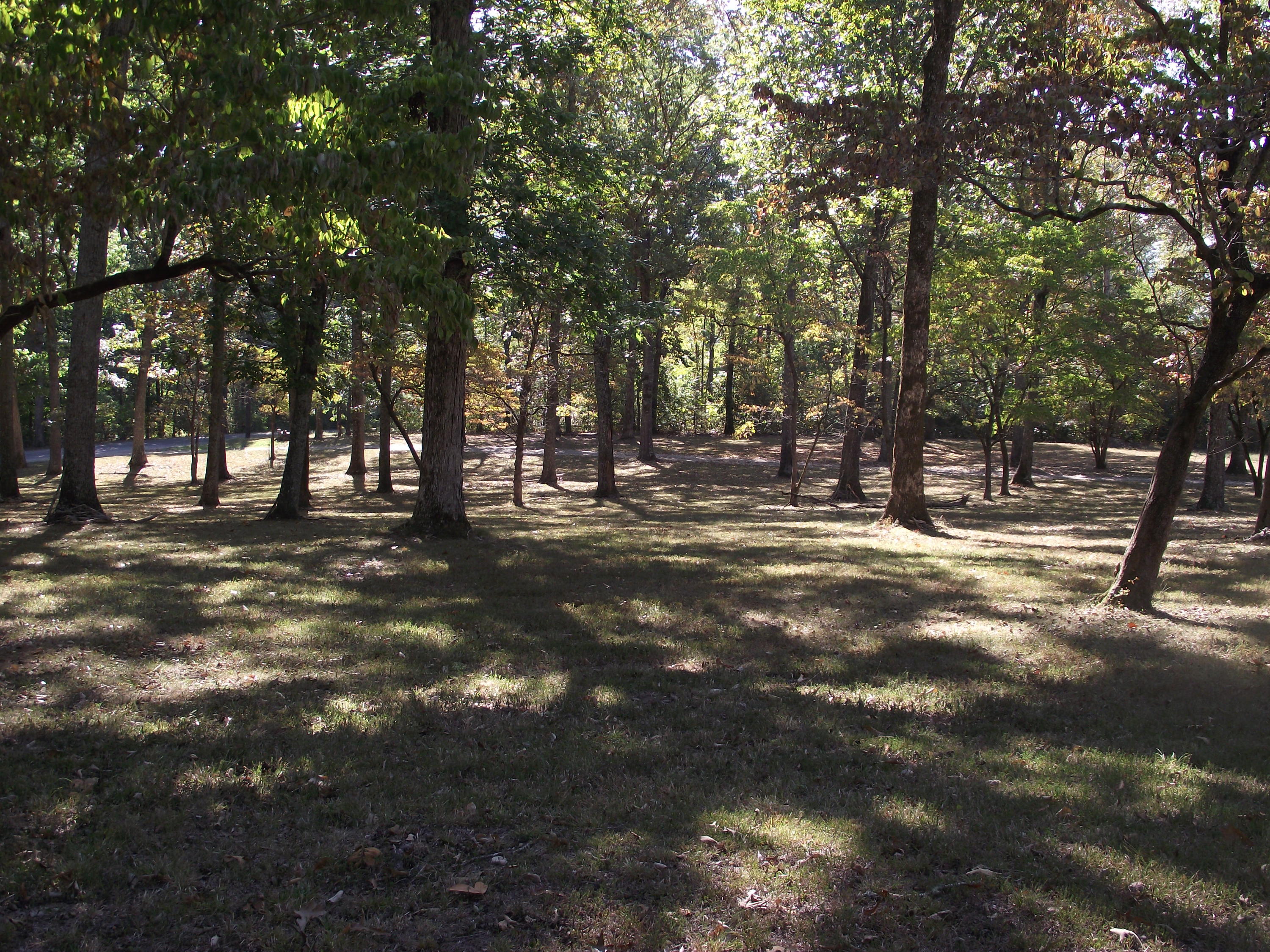 6565 Francis Spring Road Whitwell, TN 37397 - Photo 2 of 33 24+ acres!