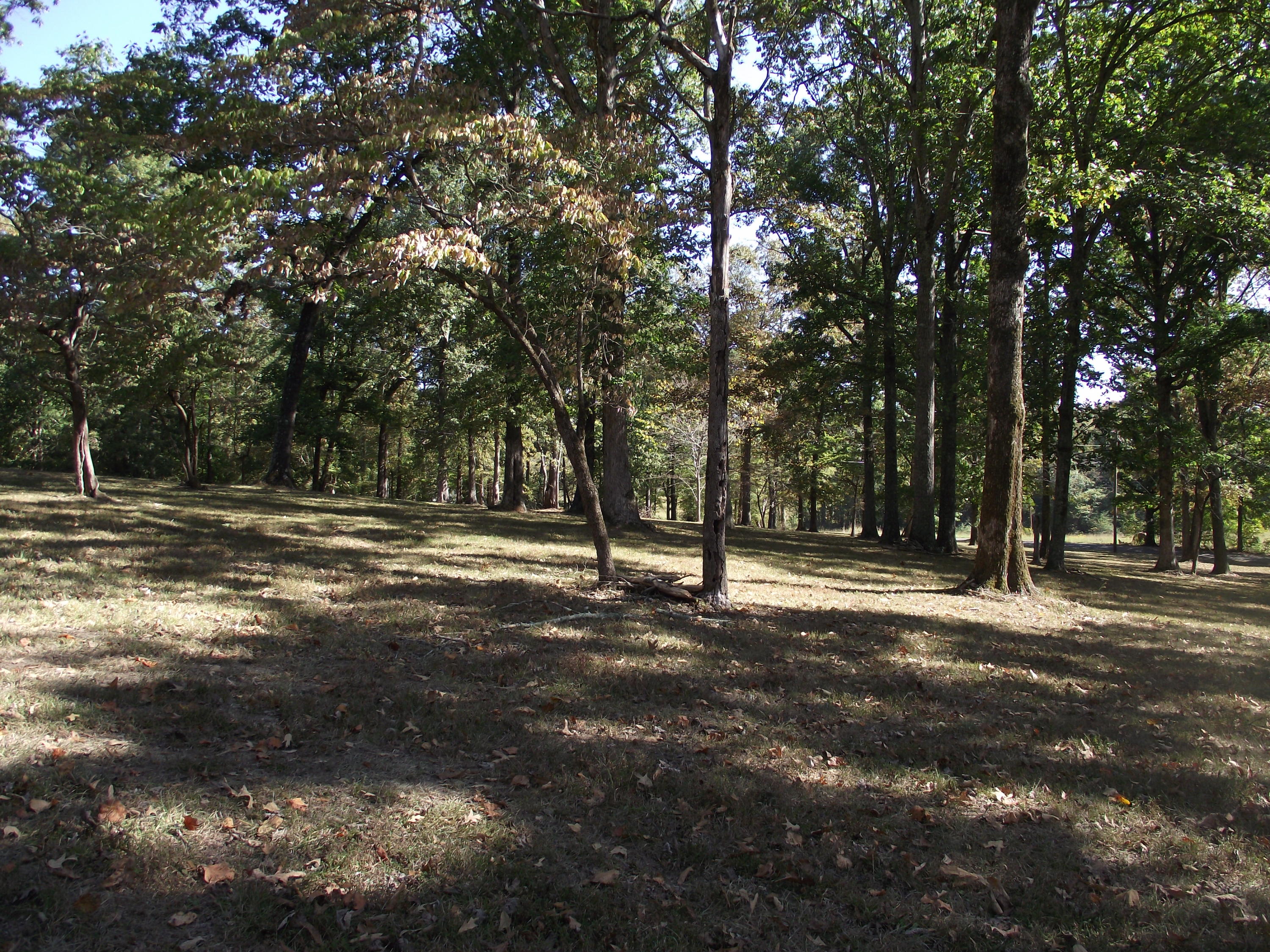 6565 Francis Spring Road Whitwell, TN 37397 - Photo 30 of 33 Private