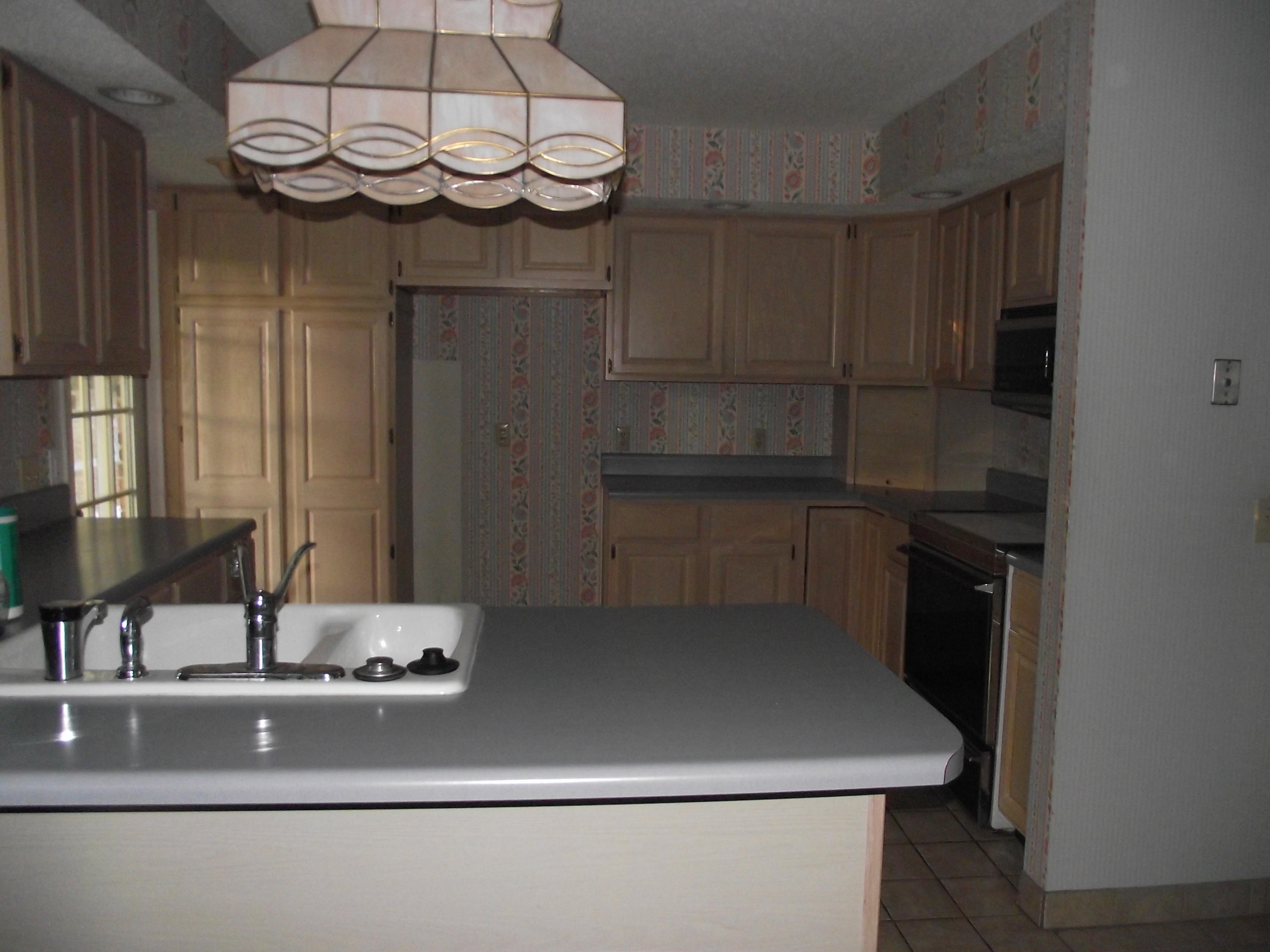 6565 Francis Spring Road Whitwell, TN 37397 - Photo 8 of 33 Kitchen (3)