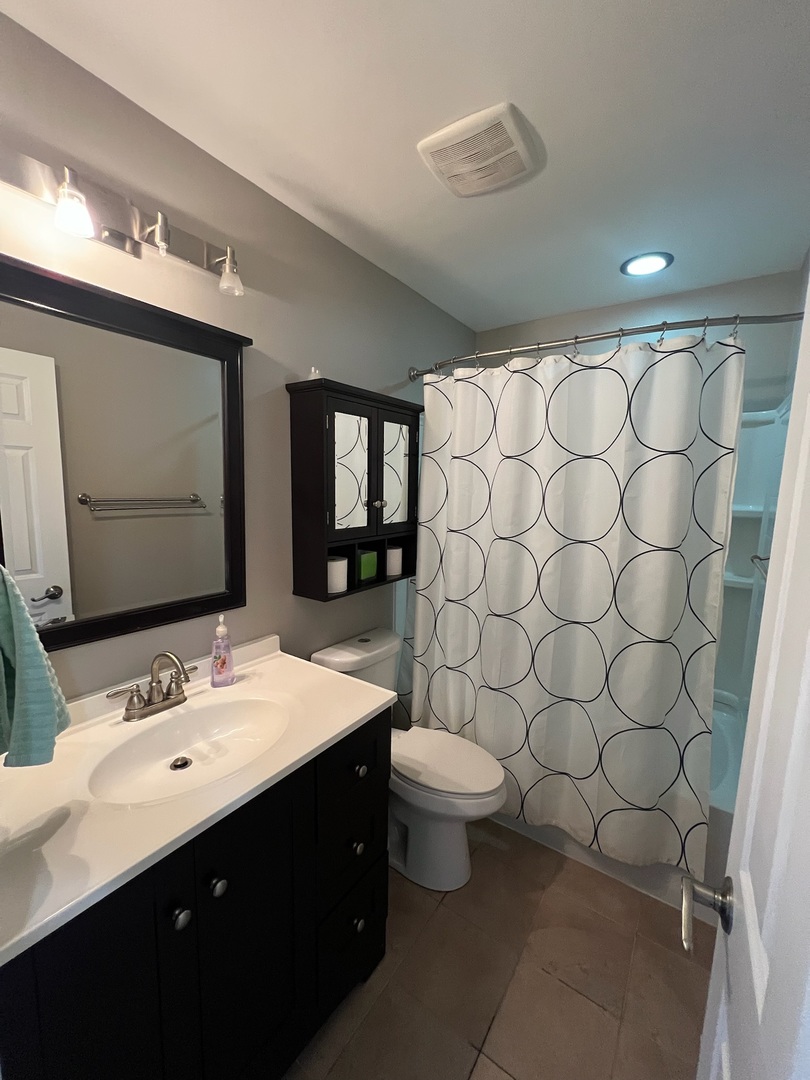 548 Delaware Trail Carol Stream, IL 60188 - Photo 6 of 26 a bathroom with a sink vanity mirror and toilet