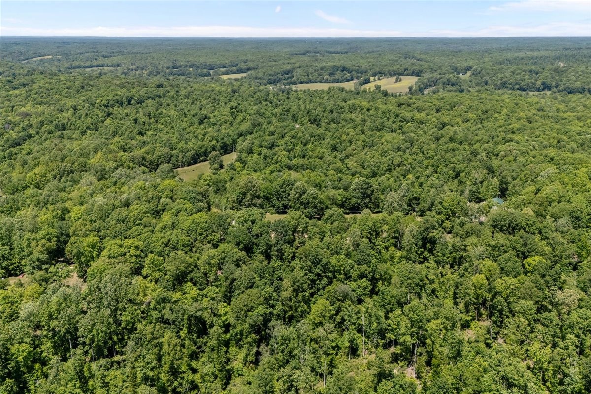 254 Shiloh Hollow Road Erin, TN 37061 - Photo 55 of 63