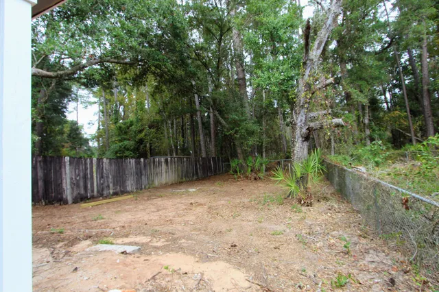a view of backyard with tree