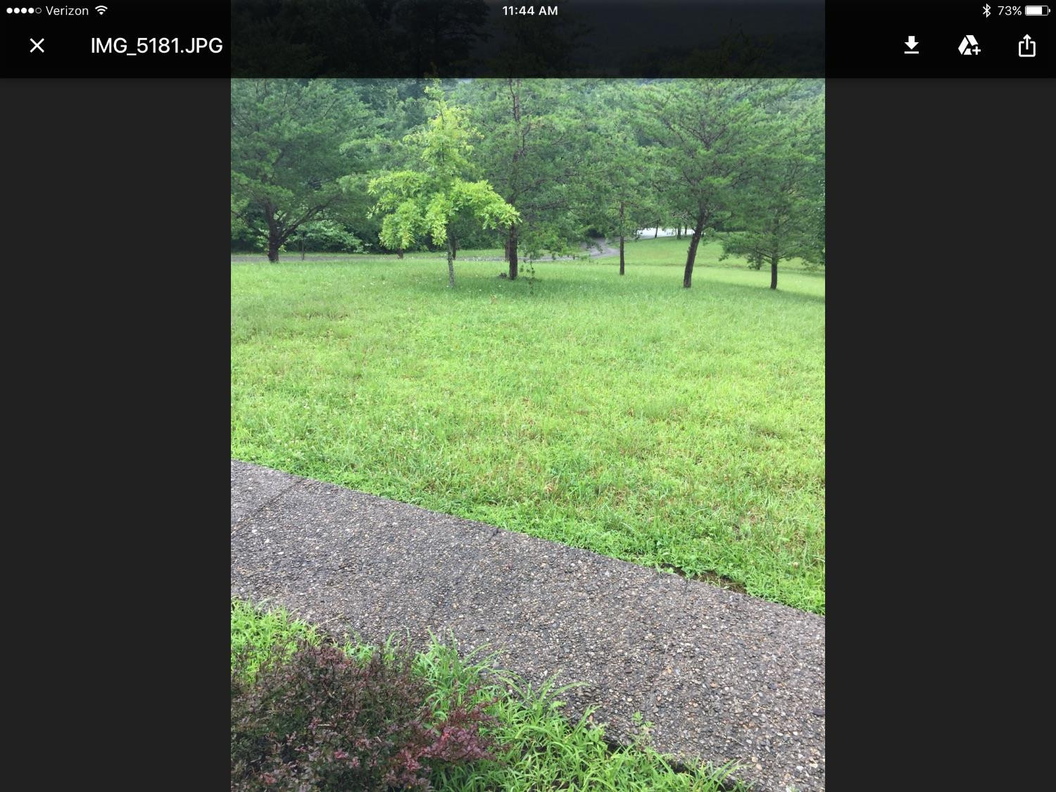 561 Owsley Fork Road Berea, KY 40403 - Photo 12 of 41 Photo 12